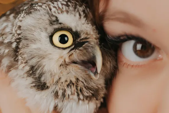 BoaBoa Kazino Pagalba